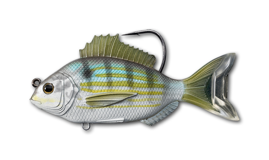 LiveTarget - Pinfish Swimbait