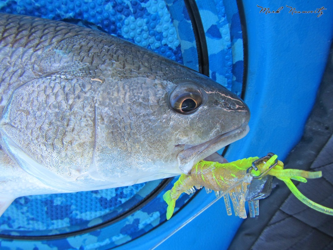 New to using artificials for fishing? Try the VUDU SHRIMP!!!! #flounder  #speckledTrout #vuduShrimp 